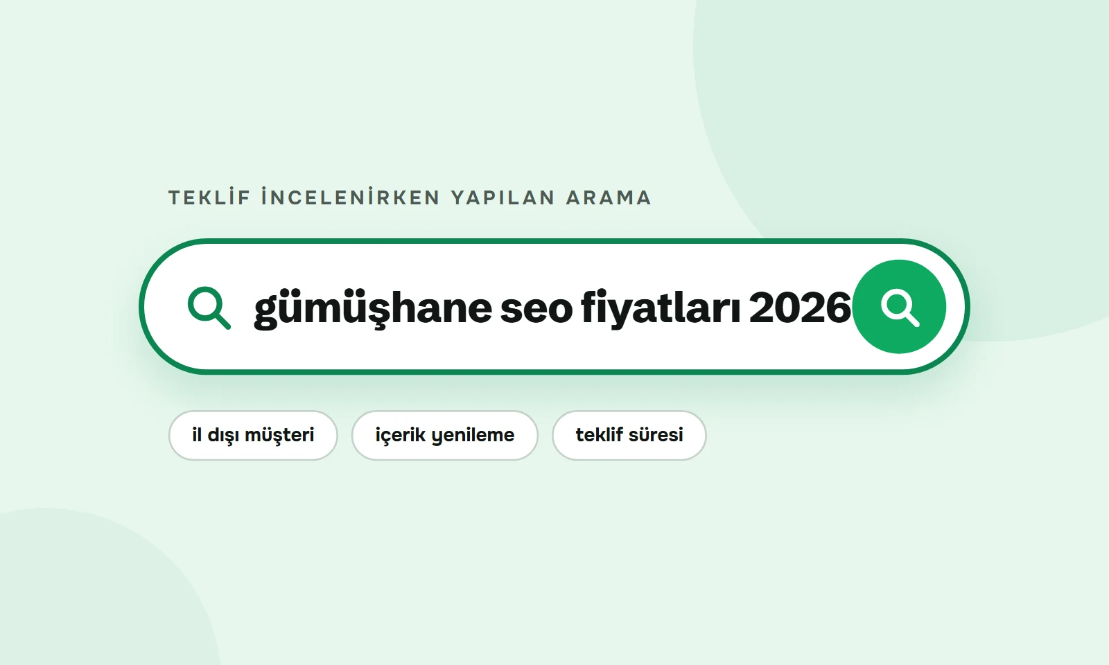 Gümüşhane SEO fiyatları 2026 araması